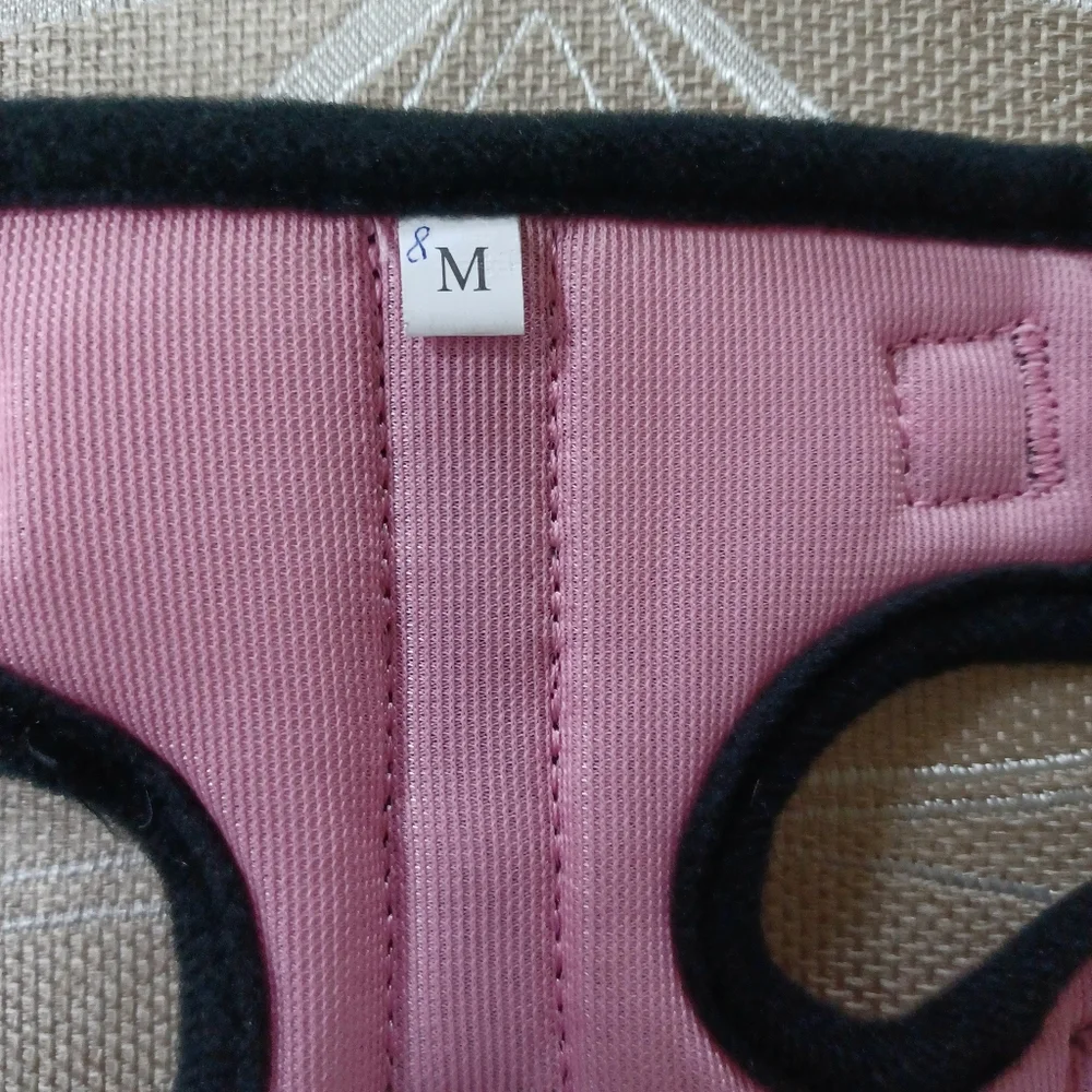Brand New Cat Harness!